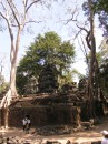 cambodia 128 * Ta Prohm - der Tempel mit den Bumen auf Gemuer * 1536 x 2048 * (1.41MB)